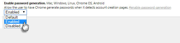 Chrome-Passwort aktivieren