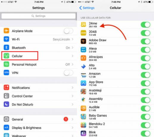 So verfolgen Sie die Datennutzung für einzelne iOS-Apps CellDataiOS1 562x500