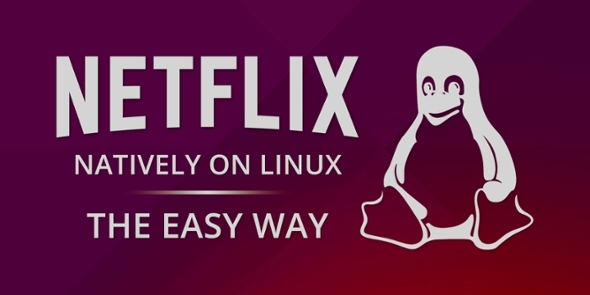 Newsletter-Netflix-unter-Linux-Easy-Way-Muo