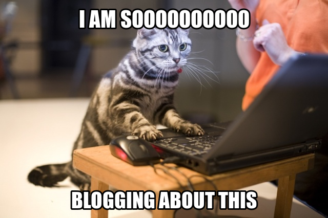 Blogging-Meme