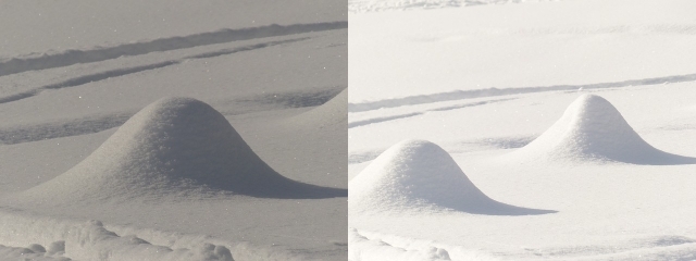 Winter-Fotografie-Tipps-Stellen Sie den Weißabgleich ein