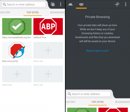 Adblock-Browser-für-Android-Home-Private-Browsing