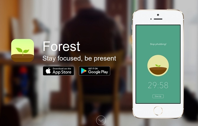 Screenshot der Forest App-Website