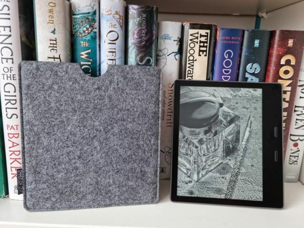 Kindle von Sleeve