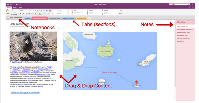 OneNote-Organisation-640x331