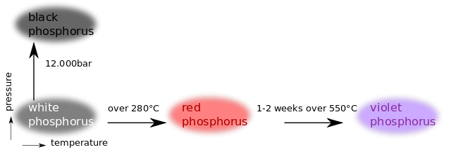 Phosphor-Allotropes.svg