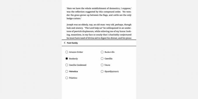 Screenshot des Menüs der Amazon Kindle-Schriftfamilie