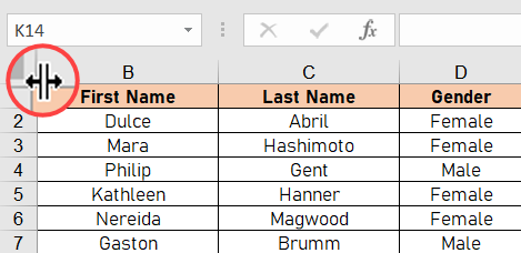 Blenden Sie die erste Spalte in Excel ein