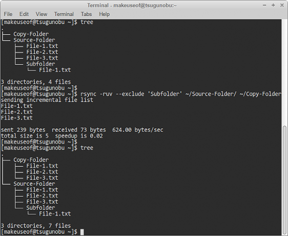 Ausschluss des Rsync-Ordners