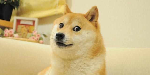 dogecoin-was-ist-doge