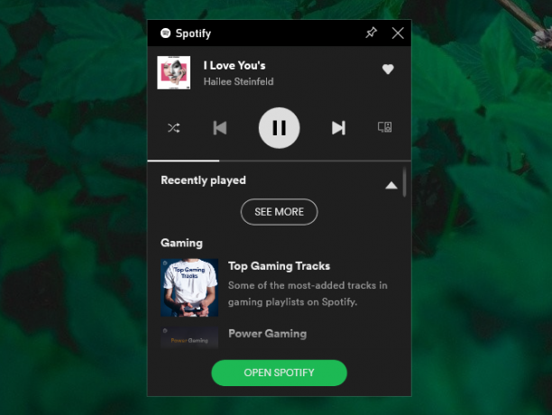 Spielleiste Spotify
