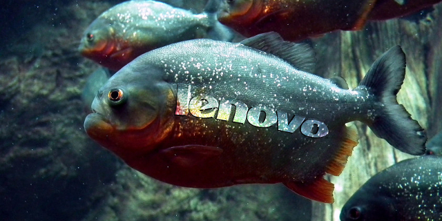 Lenovo-Superfisch