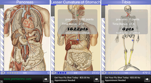 pädagogisch-android-apps-geschwindigkeit-anatomie-quiz