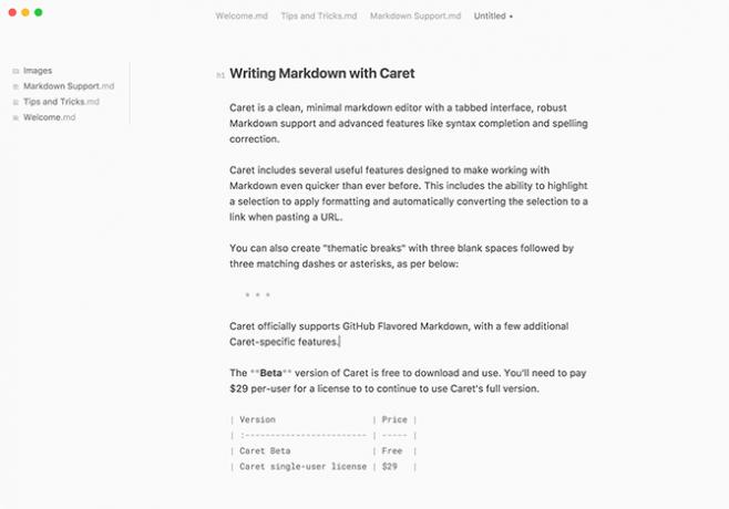 Caret Markdown-Editor