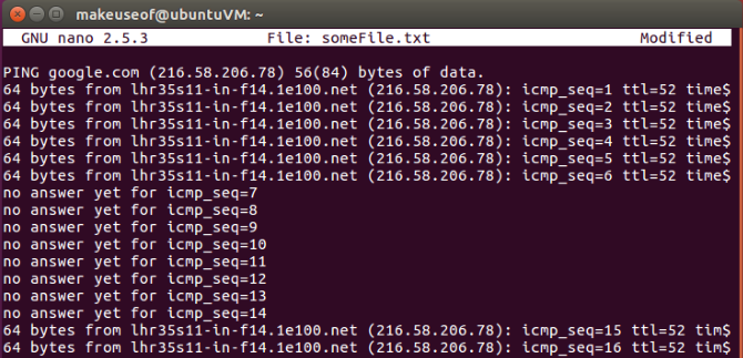 Netzwerk-Ping-Nano-Ubuntu-Terminal