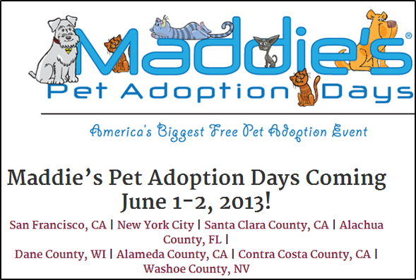 Maddie's Fund - Adoptionstage