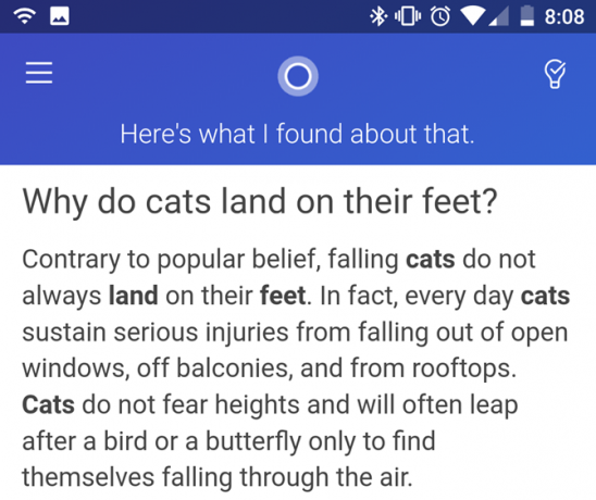 Cortana Cat Frage Antwort