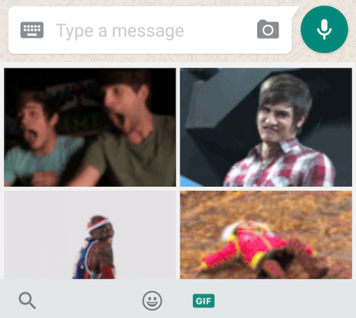 Neue WhatsApp-Funktion: GIF-Suche