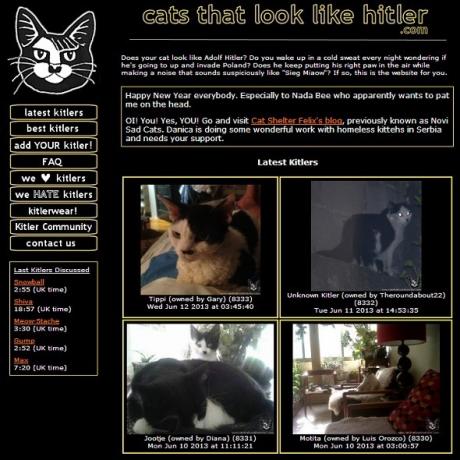 8 Purrfect Cat Websites für Katzenliebhaber Hitler Katzen Homepage