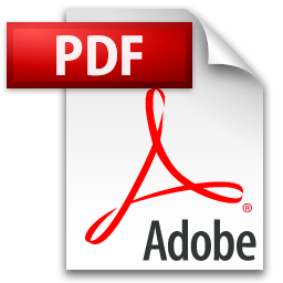 PDF in Flash online konvertieren