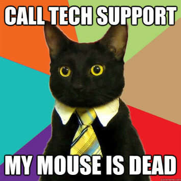 Technischer Support für Business Cat Meme