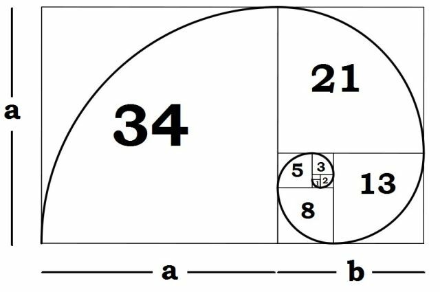 Fibonacci-Spiral-Erklärung