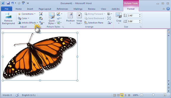 Microsoft Word Screenshot