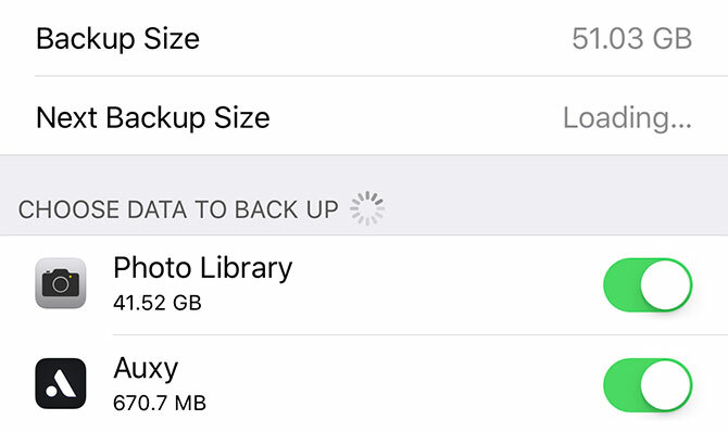 iphone sichern - iCloud Backup-Elemente