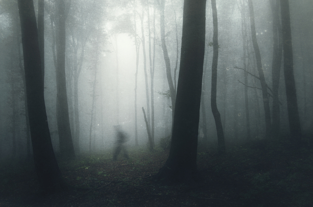 Geist im Wald