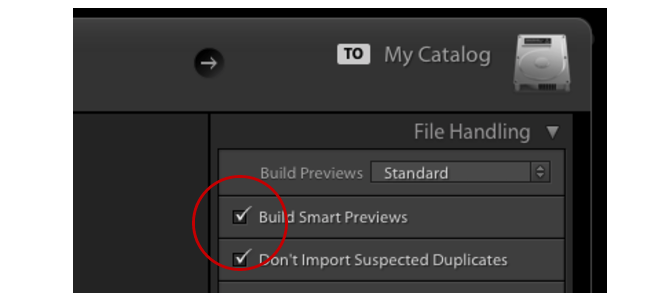 Lightroom Smart Previews