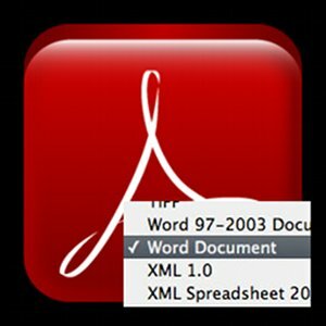 PDF zu Word konvertieren