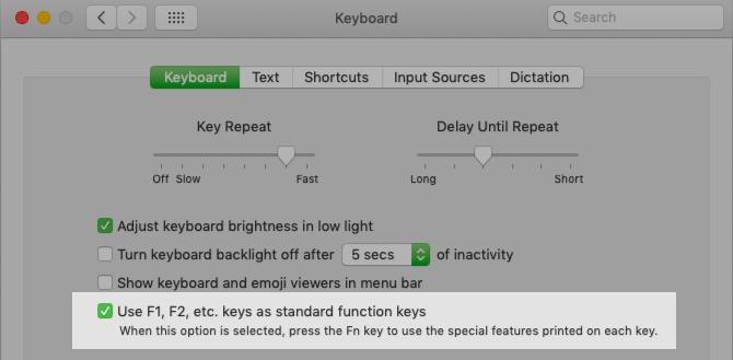 MacOS-Einstellung zum Umdrehen der Funktionstaste