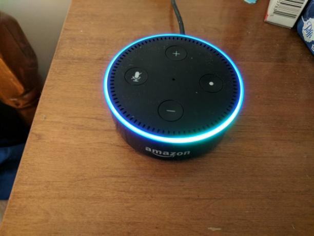 Einrichten und Verwenden Ihres Amazon Echo Dot 02 Echo Dot Einrichten von Lichtern