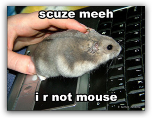 Maus