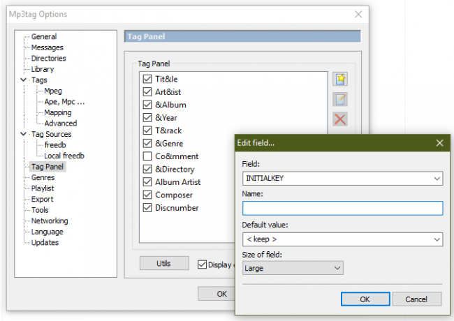 Mp3tag Tag Panel anpassen