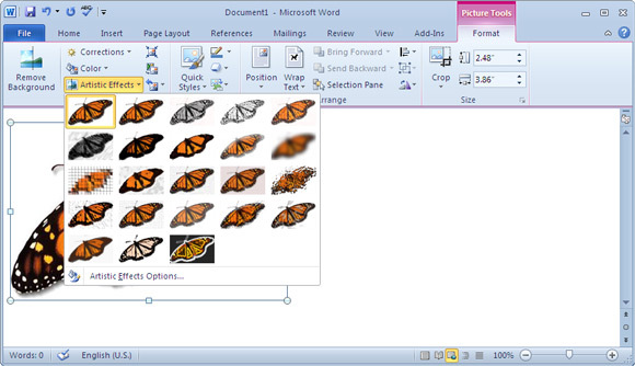 Microsoft Word Screenshot