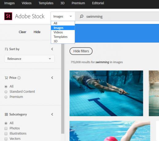 Adobe Stock Search-Filter