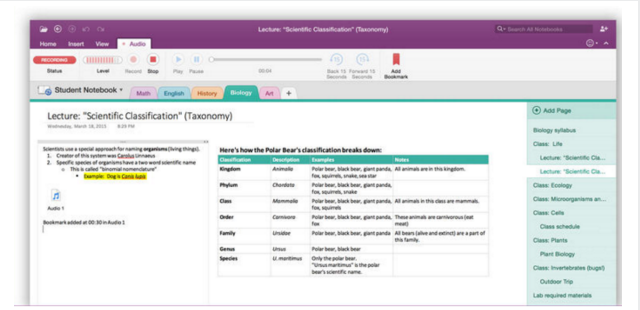 OneNote Screenshot