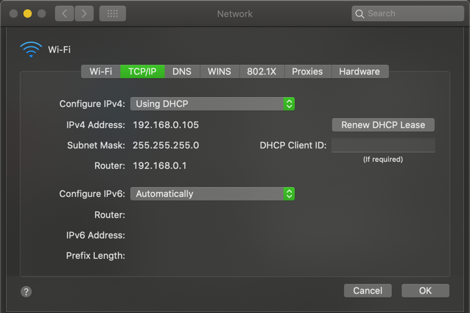 Mac TCP IP-Einstellungen