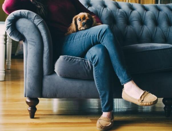 Frau und Hund sitzen auf der Couch