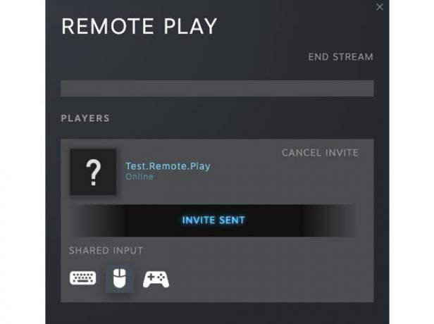 Ein Beispiel für die Fähigkeit von Remote Play, die Interaktionen Ihrer Freunde zu steuern