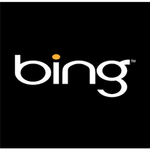 Bing führt typlose Suche ein - funktioniert es? [News] bing 1