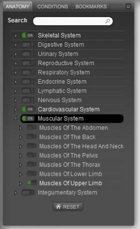 Anatomie des menschlichen Körpers