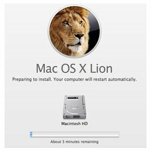 Haben Sie Probleme bei der Installation von OS X Lion? Thumb Drives bringen neue Hoffnung [News] appleinstall1