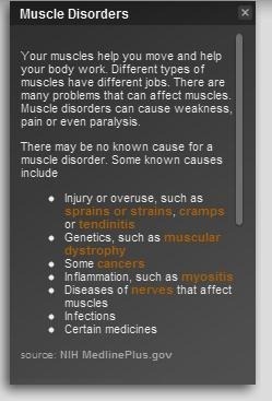 Anatomie des menschlichen Körpers