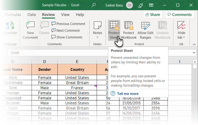 Klicken Sie in Excel auf Blatt schützen