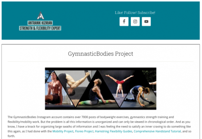 Das GymnasticBodies-Projekt ist eine übersichtliche Sammlung der besten Beiträge aus dem Instagram-Konto von GymnasticBodies, um das Durchsuchen zu vereinfachen