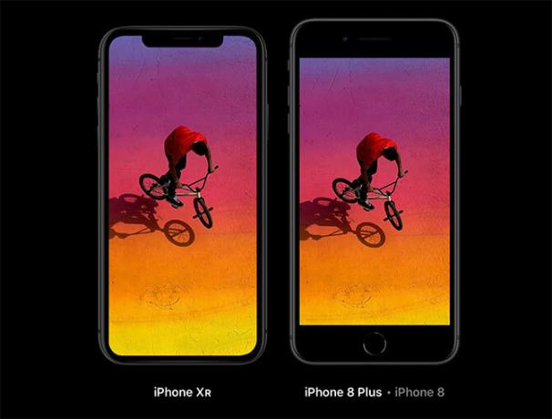 iPhone Xr gegen iPhone 8 Plus