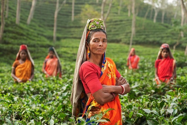 Menschen in Indien auf einer Farm