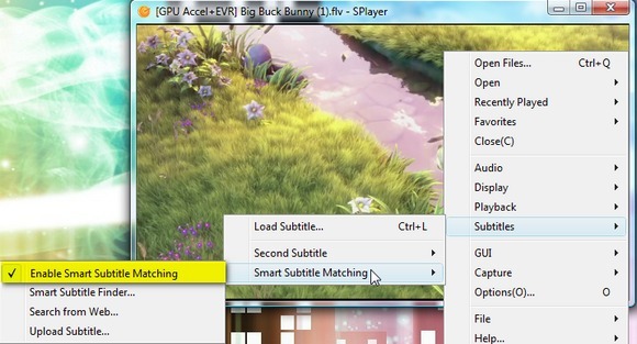 Splayer - Ein tragbarer Play-All Media Player für Windows 6